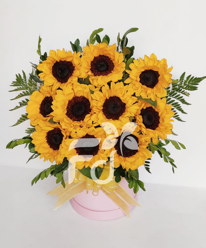 ARREGLO DE GIRASOLES EN BOX ROSADO cod: AF620